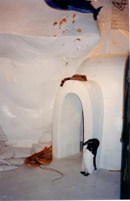 l igloo
