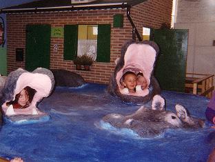 hippopotame
