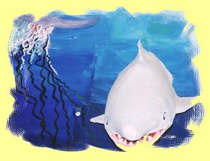 les fonds marins
